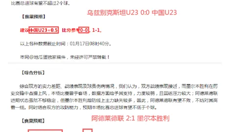 奥运冠军马龙：执着与梦想铸就辉煌之路