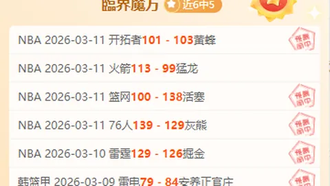 NBA老鹰对独行侠对决数据解析