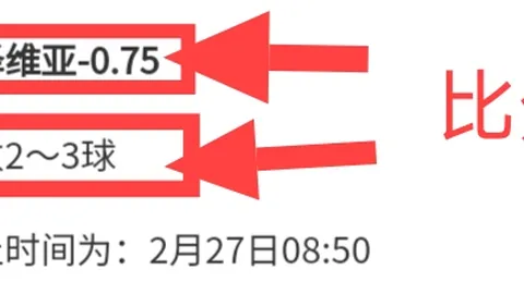 [德甲第4轮]美因茨0-3斯图加特 比赛精华